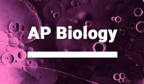 AP Biology